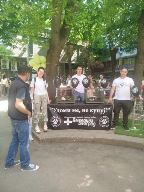 Хуманитарни базар уз осмехе и дружење са животињама на Лиону Хуманитарни базар уз осмехе и дружење са животињама на Лиону