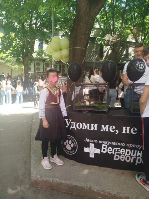Хуманитарни базар уз осмехе и дружење са животињама на Лиону Хуманитарни базар уз осмехе и дружење са животињама на Лиону
