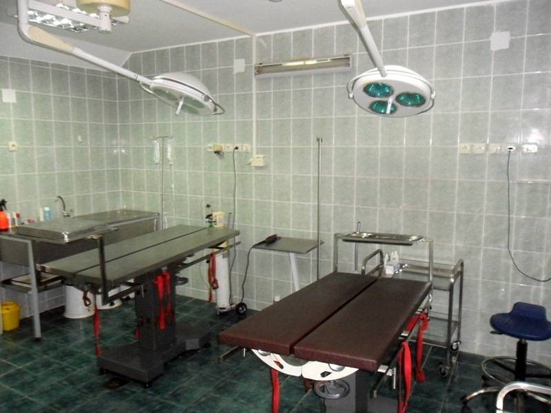 Центар за стерилизацију са прихватилиштем Раковица